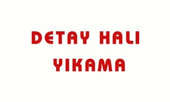 Detay Halı Yıkama